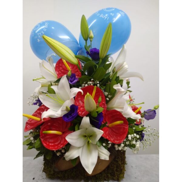 Yeni-Bebek-900x900